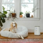 تصفیه کننده هوا کرشر مدل AF20