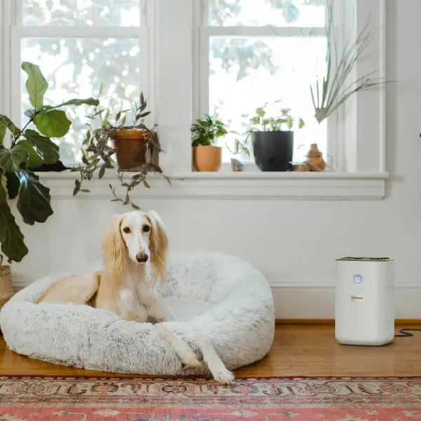 تصفیه کننده هوا کرشر مدل AF20