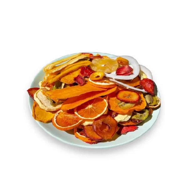 میوه خشک کن سایا مدل Papaya - Image 3